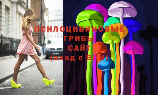 гашик Тайга